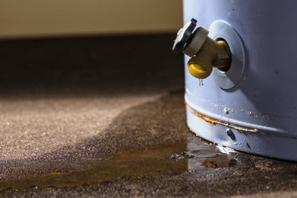Best Flood damage cleanup  in Moosup, CT