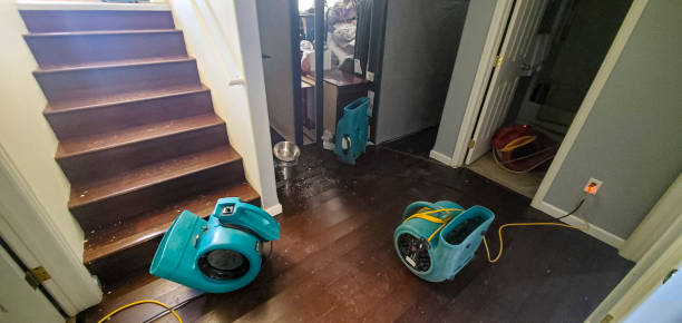 Best Water damage contractors near me  in Moosup, CT