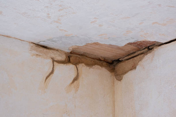Best Local water damage restoration  in Moosup, CT