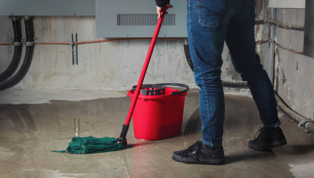 Best Water damage restoration company  in Moosup, CT