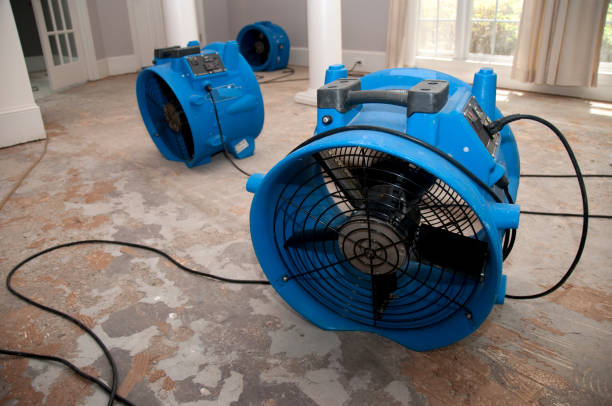 Best Residential water damage restoration  in Moosup, CT