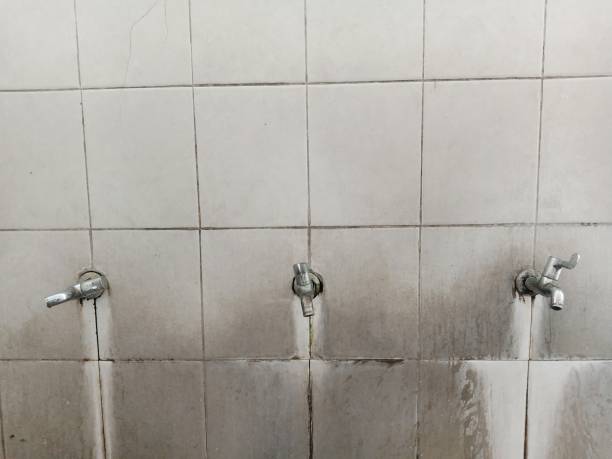 Best 24/7 water damage repair  in Moosup, CT