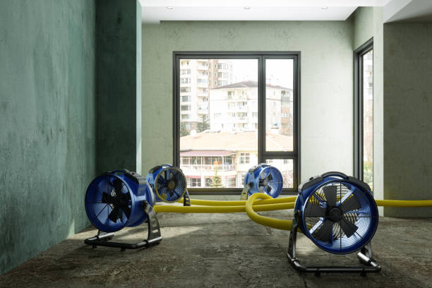 Best Commercial water damage restoration  in Moosup, CT