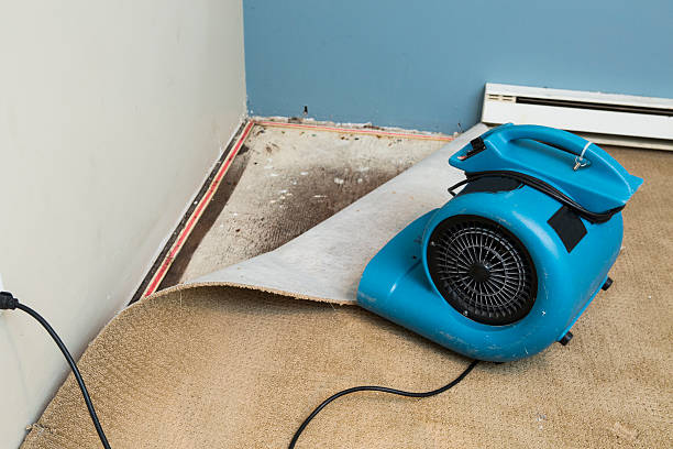 Best Basement water damage restoration  in Moosup, CT